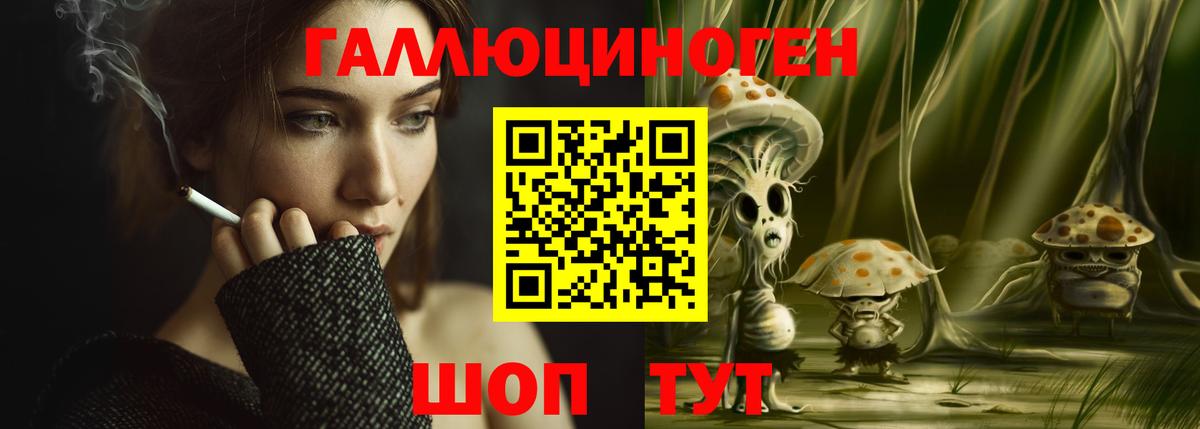 Псилоцибиновые грибы MAGIC MUSHROOMS  Псилоцибиновые грибы Cubensis  продажа наркотиков  Вход с VPN  Аргун 