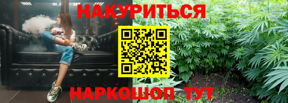 Бошки Шишки гибрид Аргун